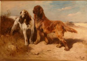Henry Schouten. Posing dogs in landscape. Big format.