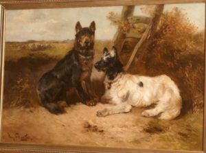 Henry Schouten. Posing dogs in landscape. Big format.